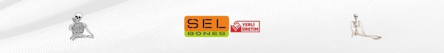banner-img